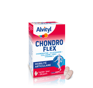 CHONDROFLEX GELLULES B/30